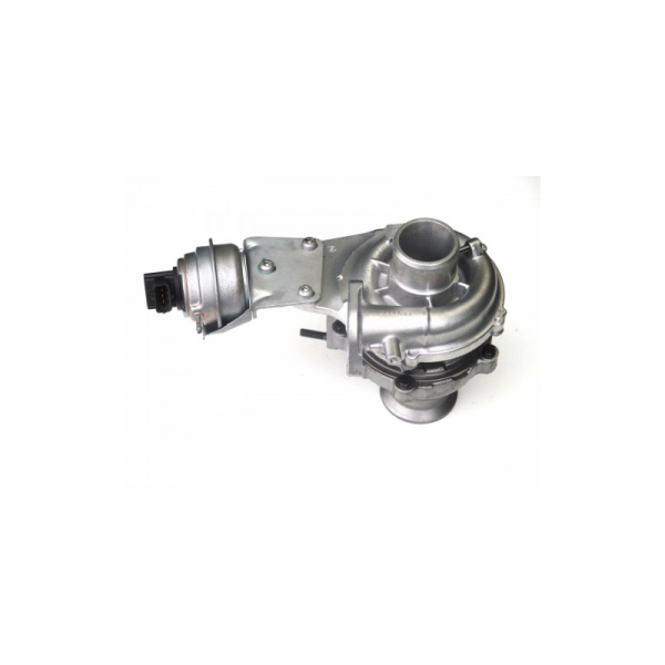 Turbo pour FIAT Bravo 2 1.6 Multijet 120 CV 803956-5003S